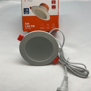 LED Down Light